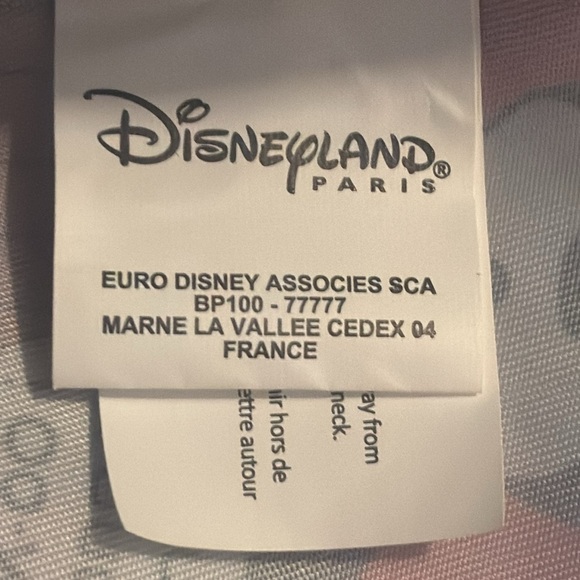 Disneyland Paris Lightweight Backpack - Picture 9 of 14